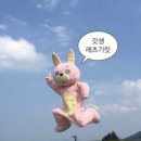 효성생고기백화점 | 갓생 레츠기릿