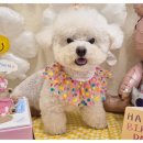 맘에든 유치원 이미지