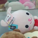 리얼뽑기방 이미지