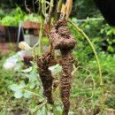 청량농장 이미지