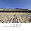 장흥군안양면보건지소 | 장흥군에 봄소식 낭보(朗報)가 연달아 날아 들었다.