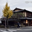 인형의 거리(원숭이 이미지