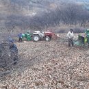 세중농장 이미지