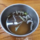 부산국수 | 부산 해운대 국수맛집 김영란회국수 내돈내산 후기