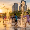 계룡종합운동장 | 경기남부·충청 무료 물놀이장 총정리 2026 : 우리 동네 눌러 확인 (성남 24곳·대전·세종)