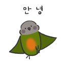 브리더스 퀄리티 | [앵무새펠렛] 앵무새 맞춤 전문 펠렛 프시타쿠스 오메가 (+ 프시타쿠스 펠렛 전 제품 비교)