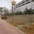 별망초등학교 앞 이미지
