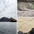 에스정보통신(주) 이미지