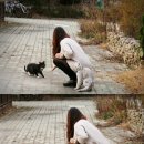 비앤비 아다지오 이미지