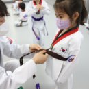 즐거운태권도장 이미지