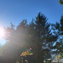 덕포골프랜드 이미지