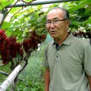 송태연 농장 이미지