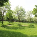 팔당물안개공원 이미지