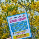 맡겨봐신발세탁 이미지