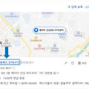 안성위드조아