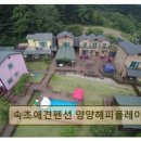 속초애견펜션양양해피플레이스