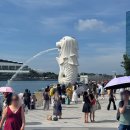 23 | 싱가포르 창이공항 23시간 레이오버 여행후기