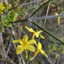 자전거 만남의광장 | 낙남정맥 13구간 창원 천주산(天柱山 639) 2026. 03. 28.