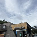 주상절리대 | [제주_07] 제주 중문 여행코스🌊 주상절리대 방문 후기 (사진 맛도리)