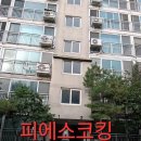 수원-0133 네이버블로그