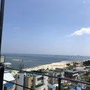 중매목장 이미지