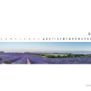 그루밍포유 이미지