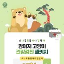 소나무동물메디컬 센터 이미지
