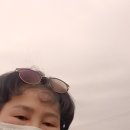 남천제방 이미지