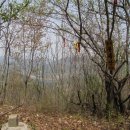 충주호 주봉산 이미지