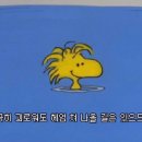 용용죽겠지 이미지