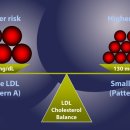 새가야약국 이미지