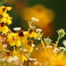 반곡동_광역복지지원센터 앞 이미지