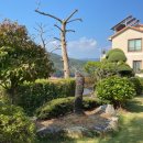 호숫가 펜션 이미지