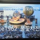 성사진관 이미지