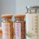 다육카페.봄봄