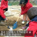 꿀참나무숲 유치원 이미지