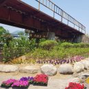 건천1리 이미지