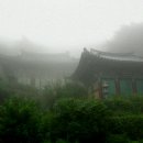 정도어린이집 이미지