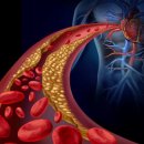 순수그릭 이미지