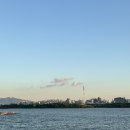 탐스바베큐