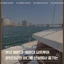 마린베이 | 부산 해운대, 더베이 101"해운대 요트투어" 연인/가족...투어 후기, 투어 코스, 마린시티/더베이 101...