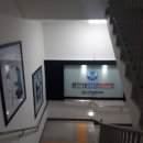 용인대 청당 태권도 이미지