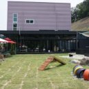 펫앤스토리 이미지