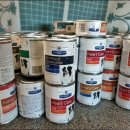 안충기 애견스쿨 이미지