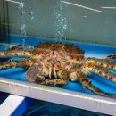 맥도날드 옥포 SK DT점 이미지