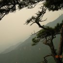 자작바위 이미지