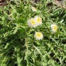 효경농장 이미지