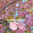 철쭉공원 화장실(중앙) 이미지