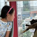 커피타는 고양이 | [미아] 사랑스런 고양이들이 반겨주는 <커피타는 고양이>