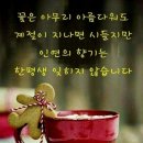 들마루 이미지